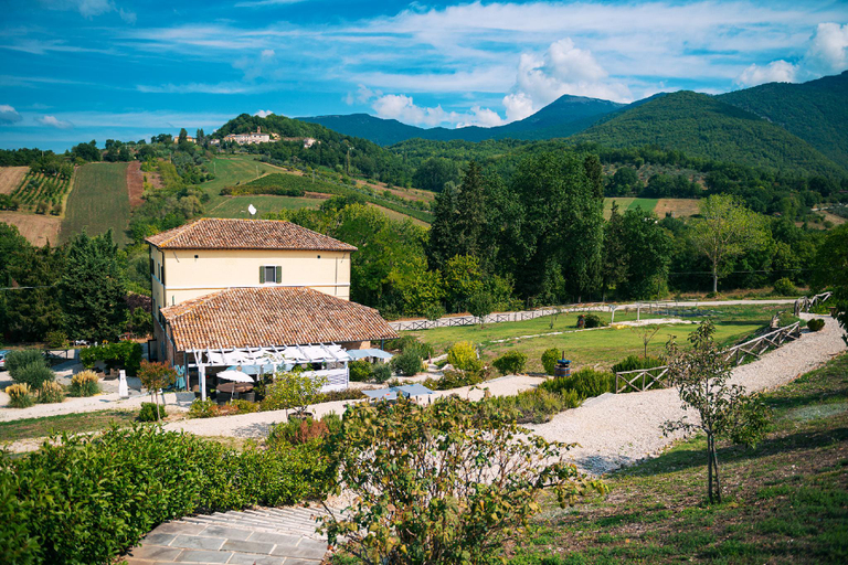 Others 5, Boutique Hotel Casa Grimaldi, Macerata
