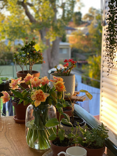 Food & Drinks, Private room in Marsfield/Macquarie Park/Uni/Eastwood, Ryde