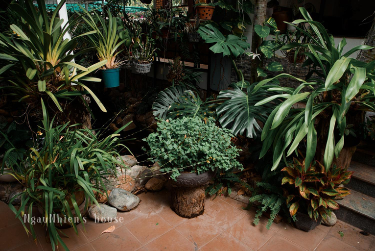 Others 5, ngaunhien's house, Ninh Hải