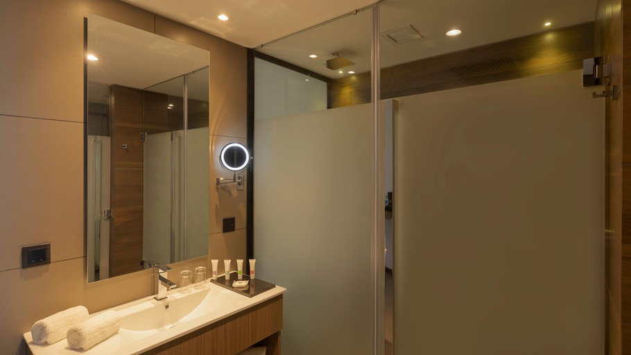 Bathroom, Swissôtel Santa Cruz De La Sierra, Andrés Ibáñez