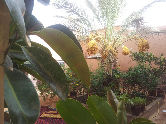 Others 4, Maison D' hotes Ait Hmid, Ouarzazate