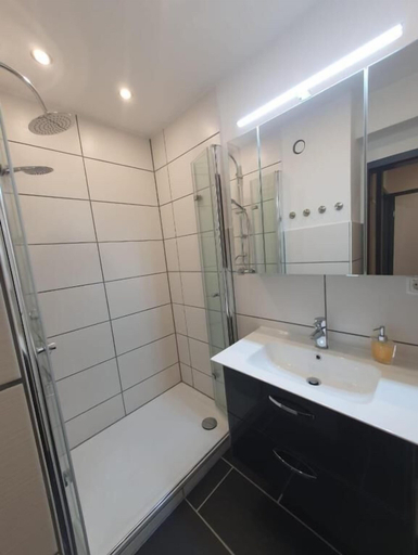 Bathroom 3, Apartment Drachenglück, Goslar