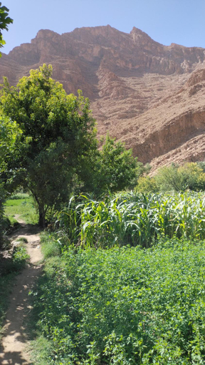 Others 4, kasbah Riad dar Ahlam, Ouarzazate