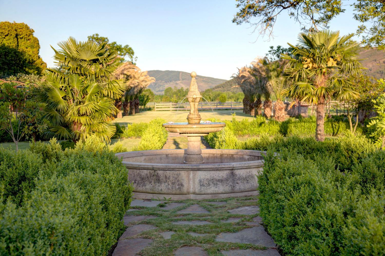 Garden, O Retiro do Conde, Ourense