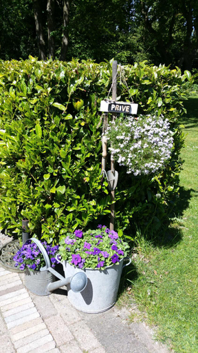Others 5, bij Saar, Coevorden