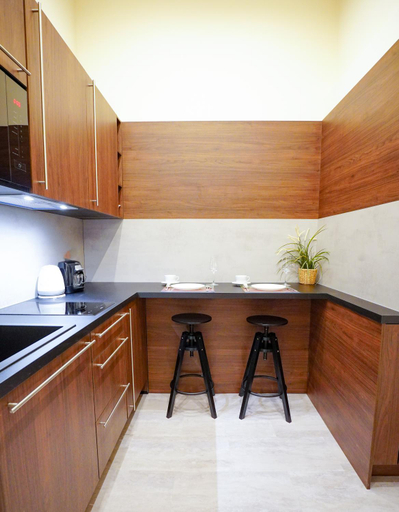 Others 5, Elegant & Stylish Center Apartments!, Praha 1