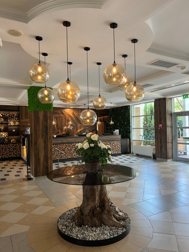 Public Area 3, Thermal Hotel Visegrad Superior, Szentendre