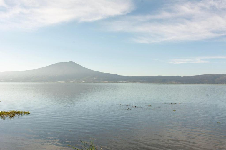 Others 4, Casa Palomas Bed and Breakfast, Jocotepec