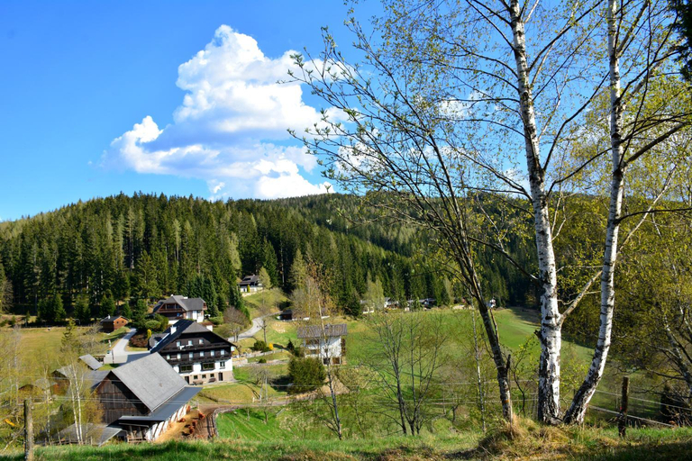 Others 4, Fruhstuckspension Ochnerbauer, Bruck-Mürzzuschlag