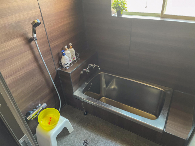Bathroom 2, Kikkake Green and Mt. Fuji, Fujiyoshida