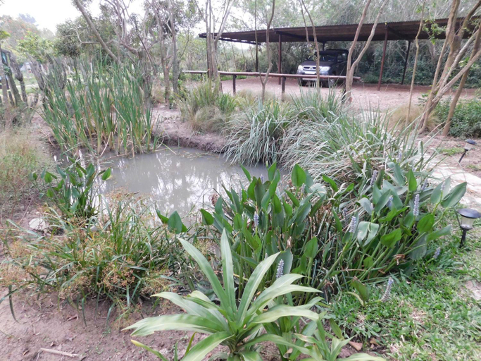 Others 3, Arandu ecolodge, San Martín