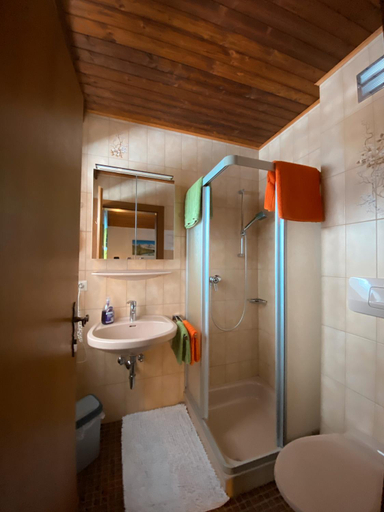 Bathroom, Haus Ratgeb, Sankt Johann im Pongau