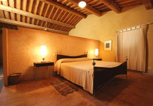 Facilities 4, L'Asino Vola, Grosseto