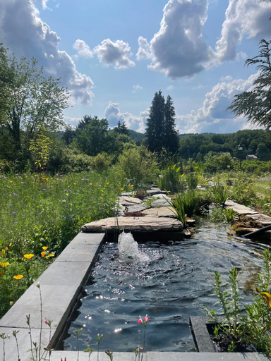 Sport & Beauty 2, Domaine De L'Ardoisiere, Namur