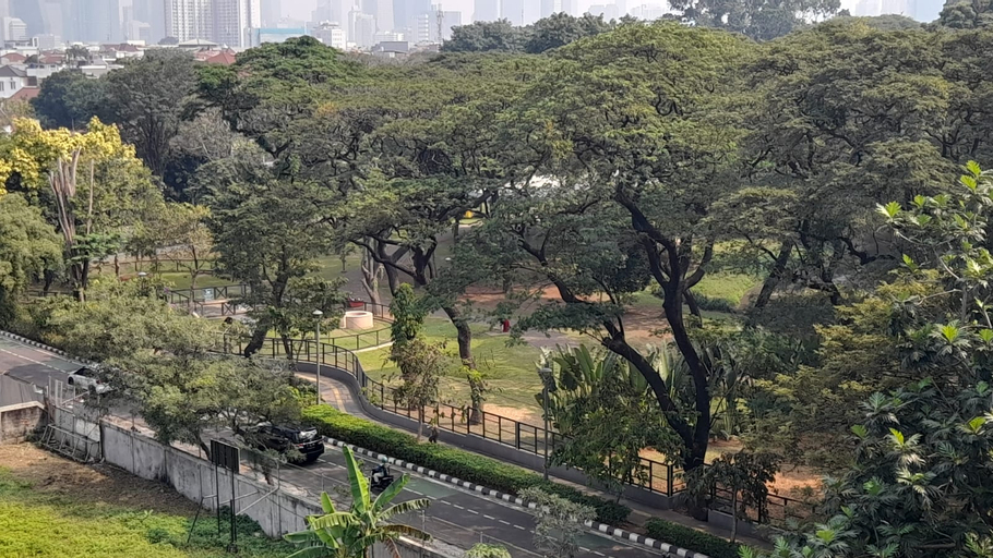 Scenery 11
