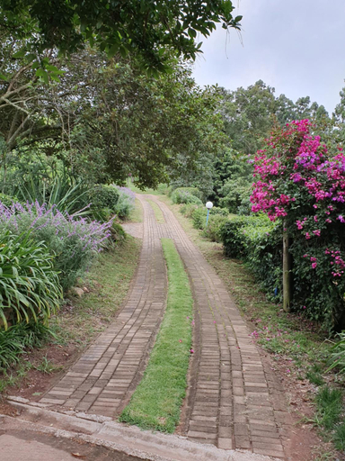 Others 3, Lind End Guest Farm, Mopani