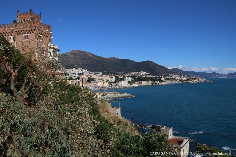 Scenery 12