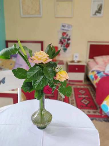Private room historic center Elbasan, Elbasanit