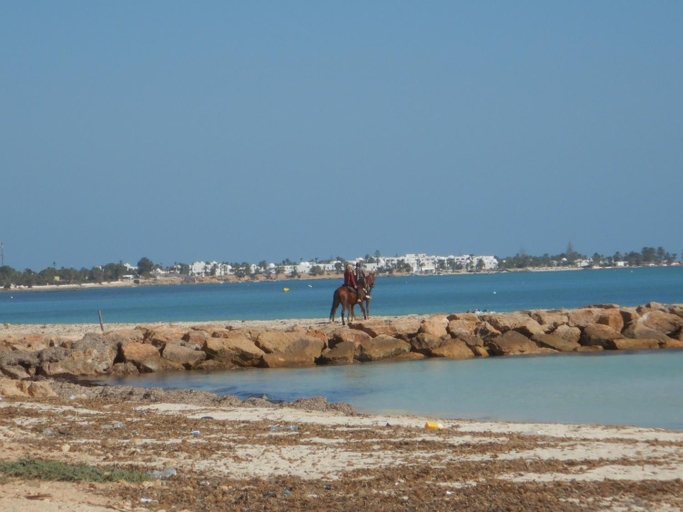 Surrounding environment 3, Menzel Churasco Djerba, Djerba Midoun