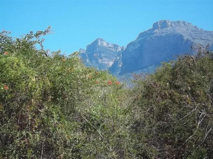 Others 5, Aloes Bush Stay, Mopani