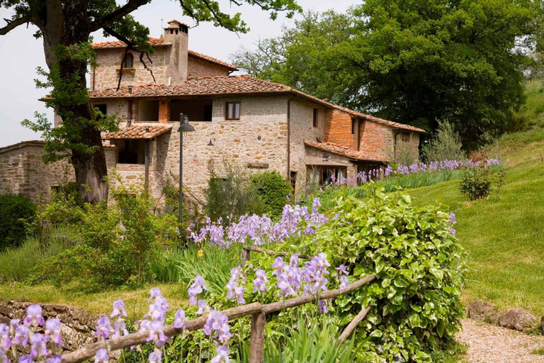 Holiday Homes in Pelago - Toskana 42338, Florence