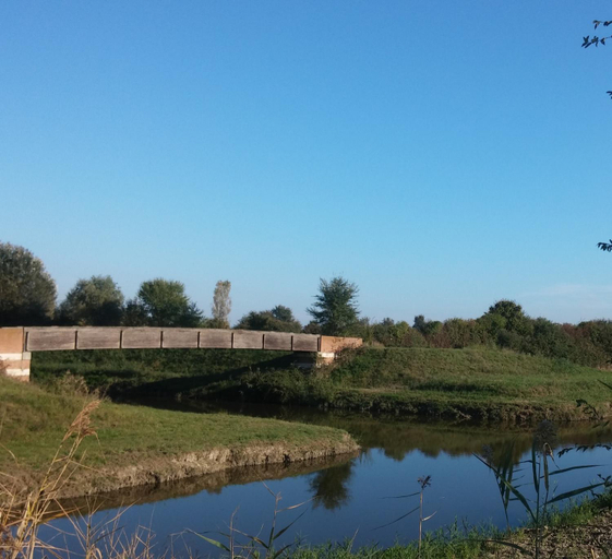 Others 4, Oasi di Arcadia, Rovigo