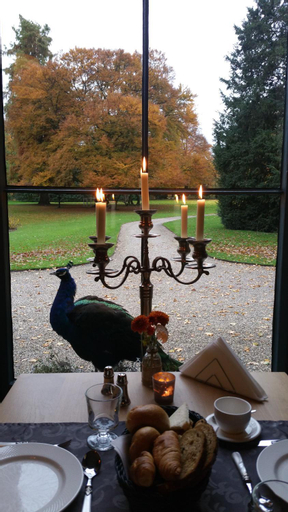 Food & Drinks, B&B en SPA Landgoed Matanze, Voorst
