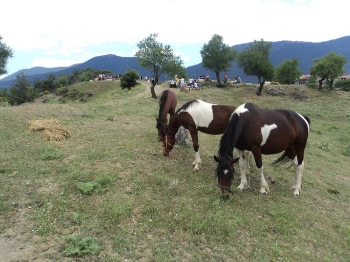 Others 4, Archontiko Nikolopoulou, Peloponnese