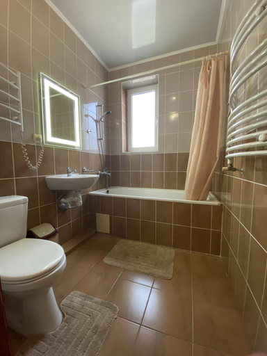 Bathroom 3, Edelweiss, Svaliavs'kyi
