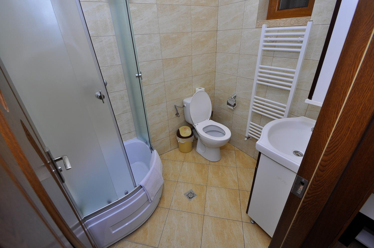 Bathroom 2, Pensiunea Eladi, Borsa