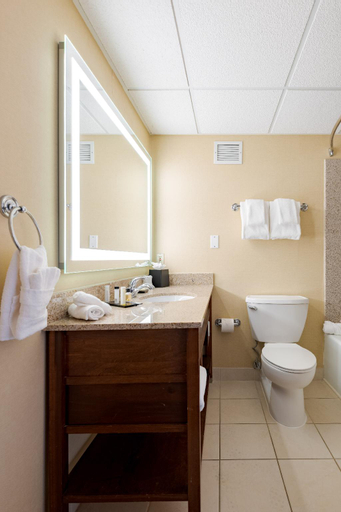 Bathroom 8