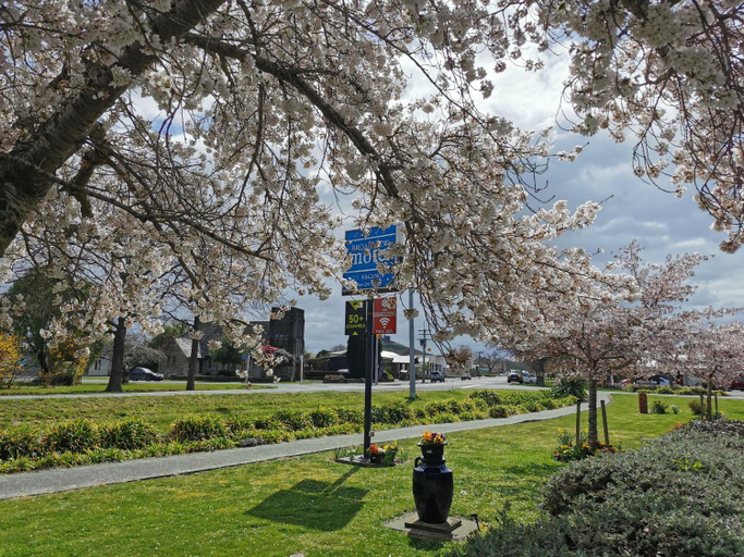 Others 3, Broadview Motel, Hurunui