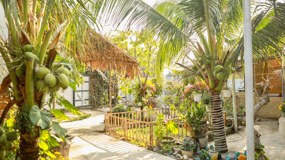 Others 4, Kiwi's Homestay & Cafe, Phan Thiết