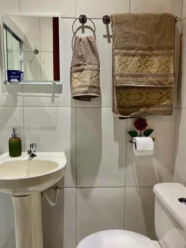 Bathroom 4, Estacao Serramar, Nova Friburgo