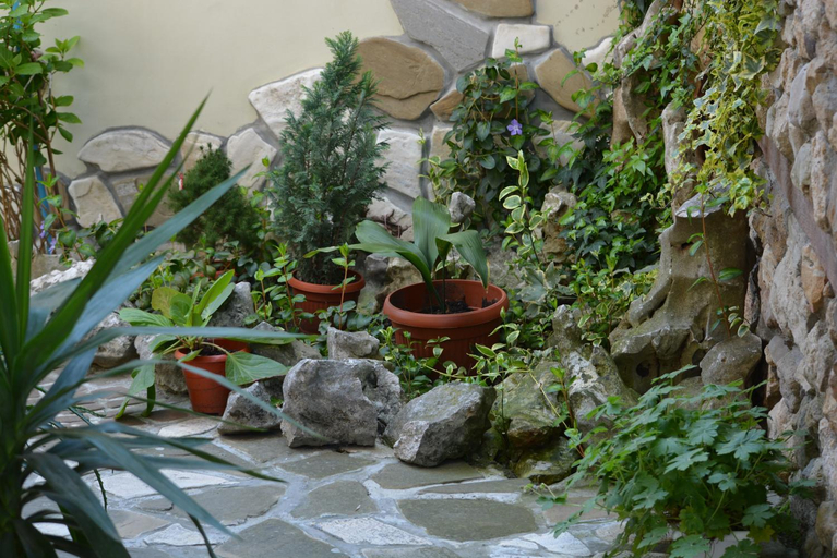Others 3, Guest Rooms Melsambria, Nesebar