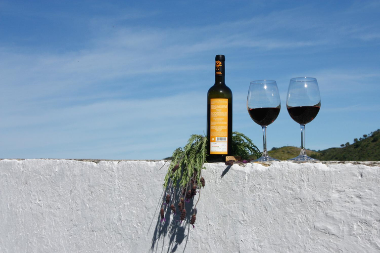 Food & Drinks, Casa do Funil, Mértola