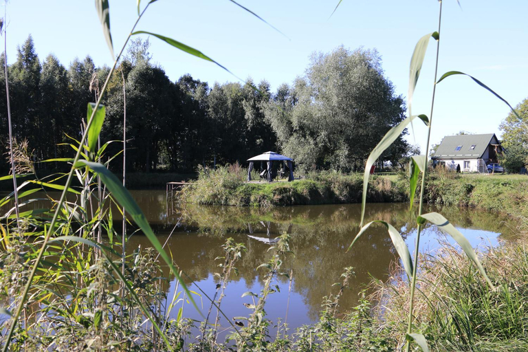 Others 4, Agroturystyka Zulawiaczek, Nowy Dwór Gdański