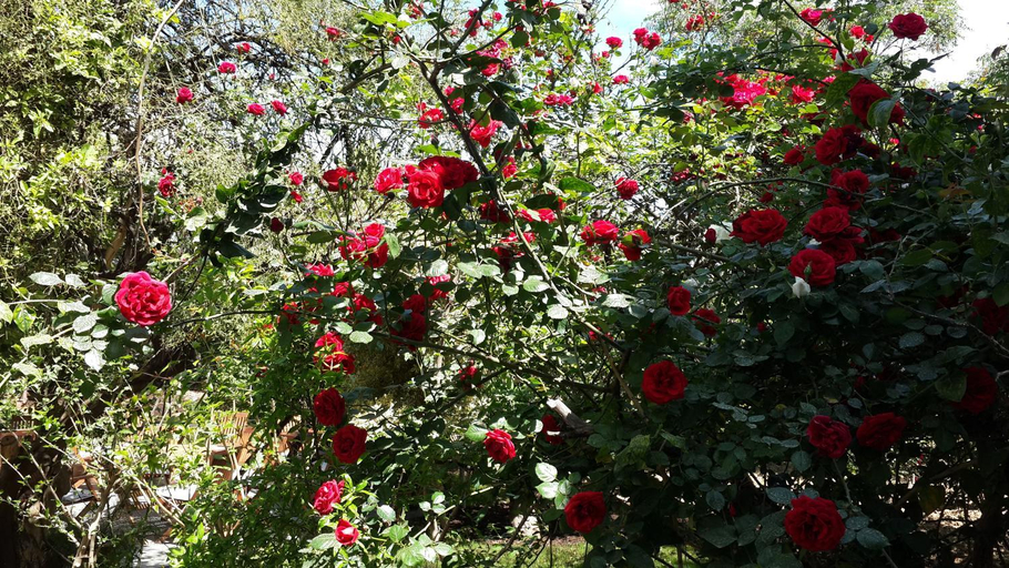 Others 5, Hotel Gulec, Bodrum