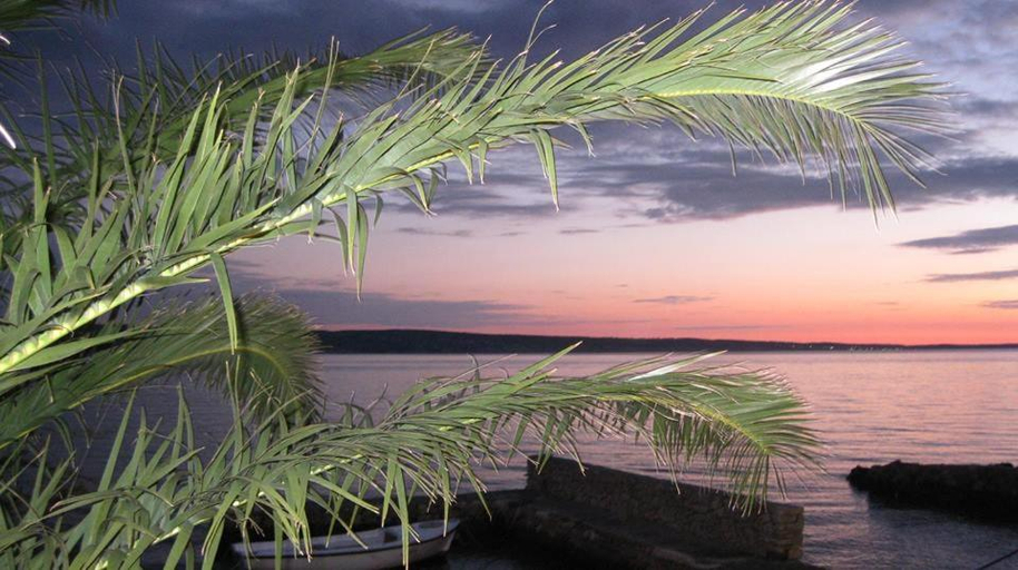 Others 4, Bed and Breakfast MIRAMAR, Starigrad