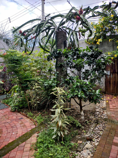 Others 3, Hostal Macaw, Guayaquil