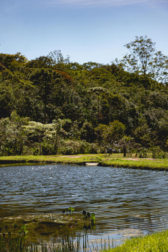 Others 5, Reserva Mata Grande - Nature Park, Mogi das Cruzes