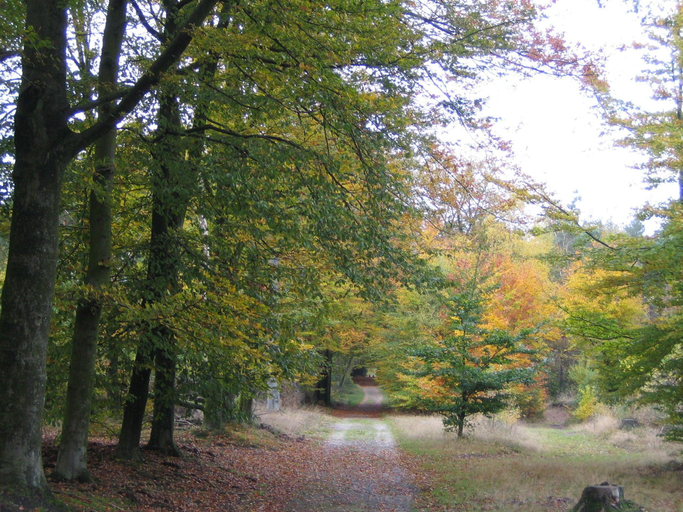 Others 2, Forest-Edge Villa with Sauna, Apeldoorn