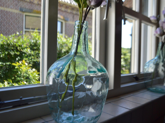 Others 2, Holiday Home in Nijeberkoop near Nature, Ooststellingwerf