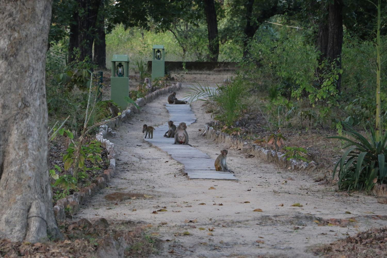 Others 4, Bagh Sarai Resorts, Umaria