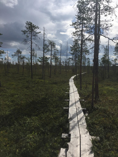 Others 4, Ankkalinna, Lapland