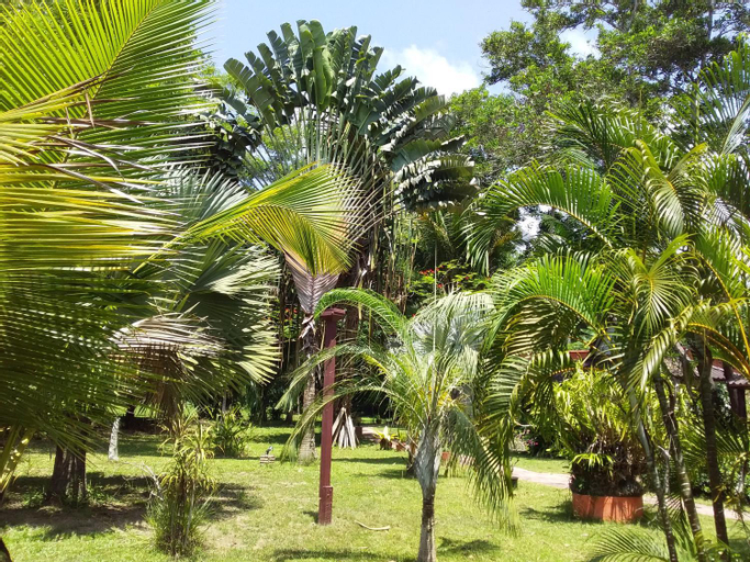 Scenery 14
