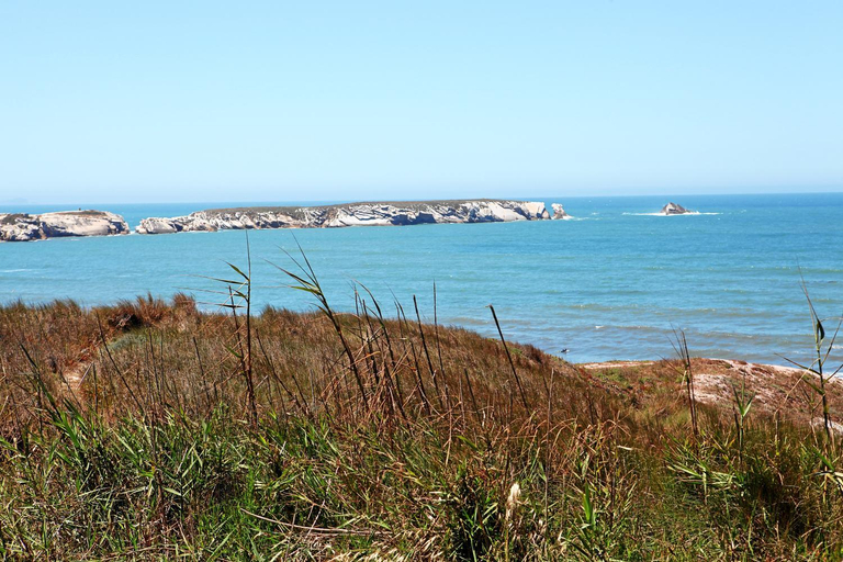 Others 5, Baleal 4 Surf II, Peniche
