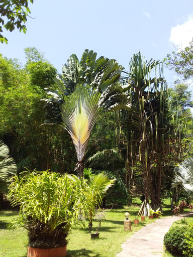 Scenery 12