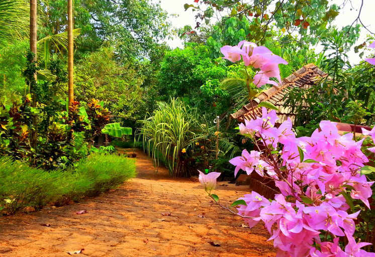 Public Area 2, Namaste Yoga Farm, Uttara Kannada