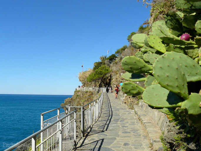4, Camping La Sfinge, La Spezia